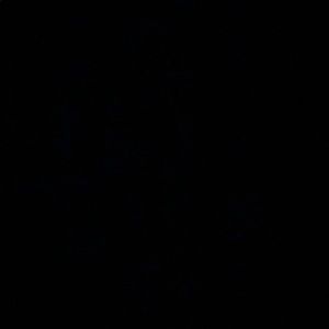 Meet your Posher, Mia